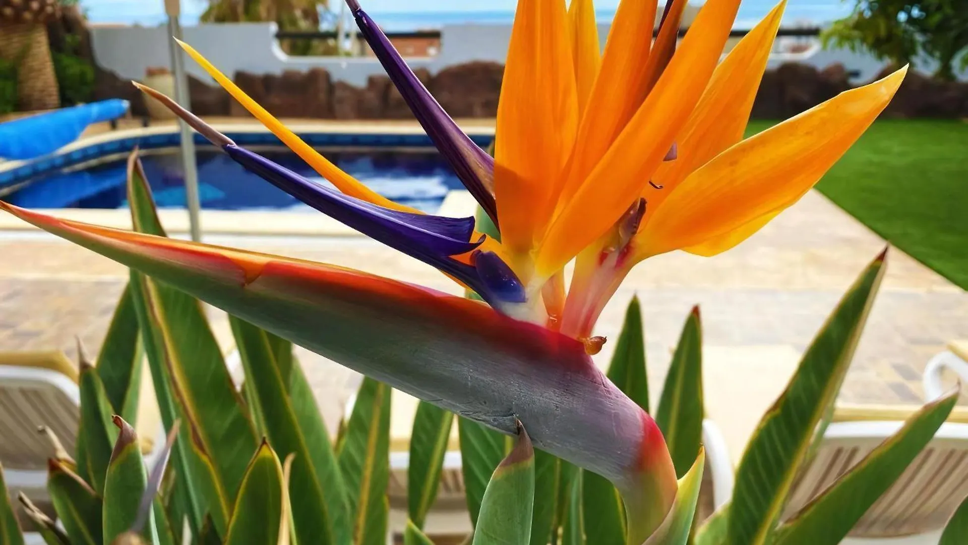 Villa Anais Azul Mit Privatem Pool Holiday home